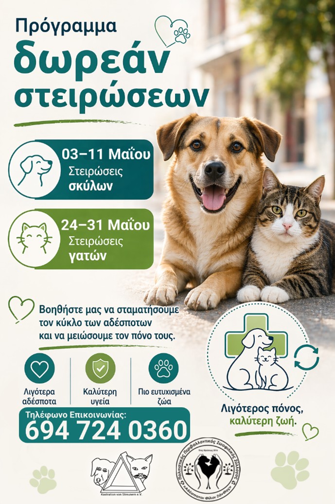 Συμμετοχή του Δήμου Μύκης σε δράση μαζικών στειρώσεων αδέσποτων ζώων συντροφιάς